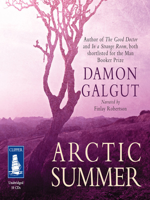 Title details for Arctic Summer by Damon Galgut - Wait list